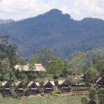 IMG 8115 IMG 8115