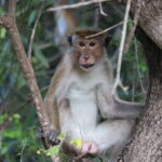 IMG 8163 IMG 8163