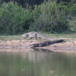 IMG 8177 IMG 8177