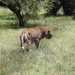 IMG 2677 IMG 2677