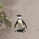 IMG 2888 IMG 2888