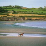 Strand, Timoleague Nähe Kinsale, Cork County, Strand, Pferd, Ebbe, Jockey, Strand, Timoleague Nähe Kinsale, Cork County, Strand, Pferd, Ebbe, Jockey,
