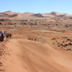 Sa Namibia Sa Namibia