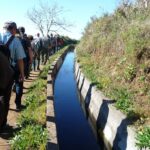 Levada Levada