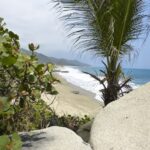Strand, Küste, Sand, Felsen, Palme Strand, Küste, Sand, Felsen, Palme