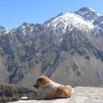 Kazbegi 1 Kazbegi 1