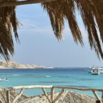 IMG 3277 IMG 3277